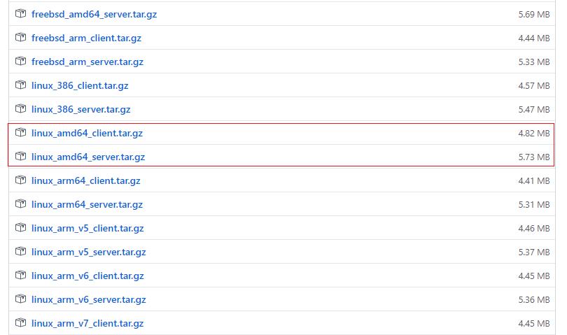 nps内网穿透工具的安装教程并配置泛域名解析